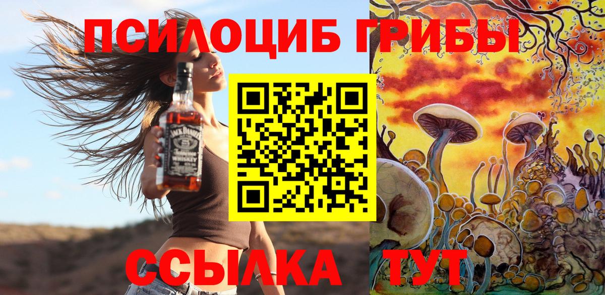Галлюциногенные грибы прущие грибы Советск