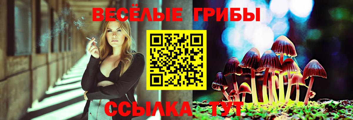 Псилоцибиновые грибы прущие грибы  Вход с VPN  Советск 